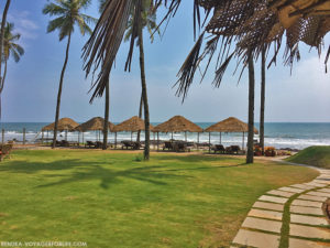 Beaches In Goa – Which Ones To Visit? - Voyager For Life