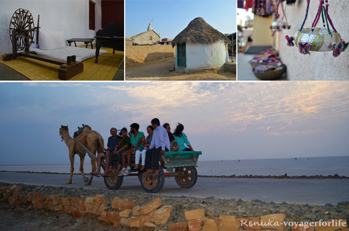 solo travel groups in gujarat