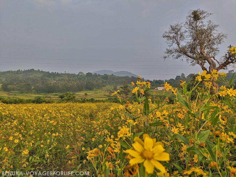 Ananthagiri – A Piece Of Heaven In Andhra Pradesh - Voyager For Life